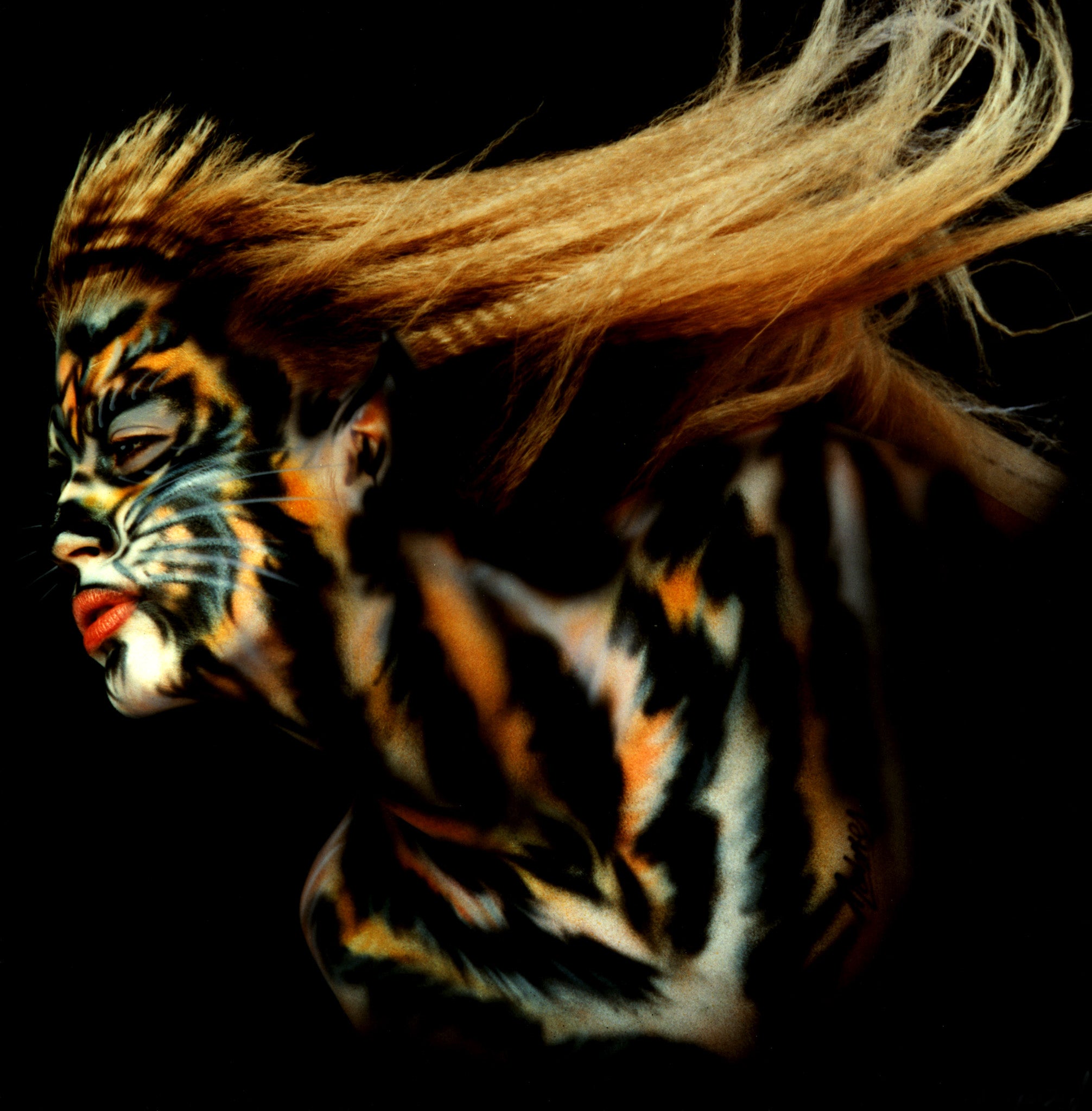 Bobbi Cat